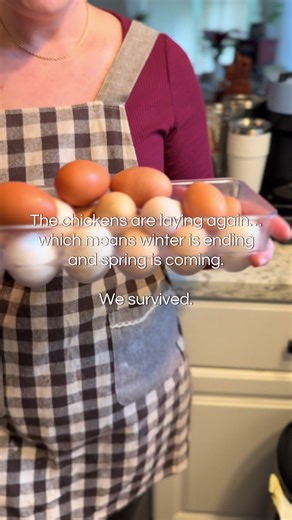 Spring is Here: Chickens Start Laying Again