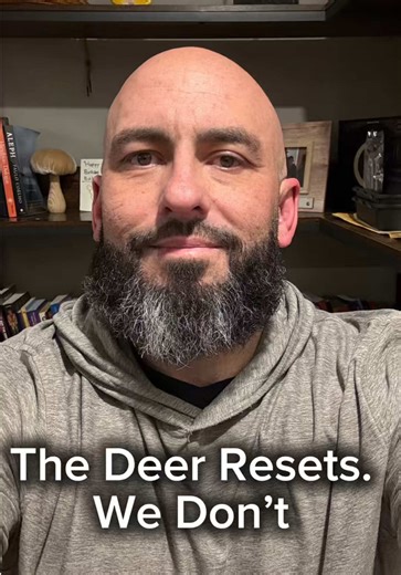 A deer freezes in danger — and when it passes, it shakes and resets. Humans don’t reset automatically. We carry it in the body — jaw, shoulders, breath, sleep. Healing isn’t about fixing yourself. It’s about helping the nervous system finish what never got to complete. Part two is coming, where I’ll show how we help the body do this gently. If this resonates, you’re welcome to follow and stay with the series. #nervoussystem #traumahealing #somatichealing #fightflightfreeze #healingjourney
