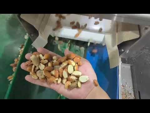 AMD almonds sortex/sorting machine to reject wormholes, mold, damage, shells containing kernels...