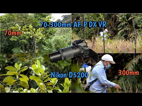 Video Nikon D5200 AF-P 70-300mm DX VR ED Zoom Lens