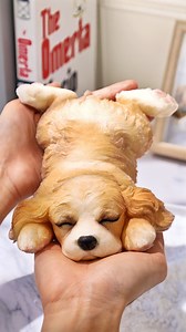 109K views · 620 reactions | ✨ Making a Sleeping Dog Squishy!  In...