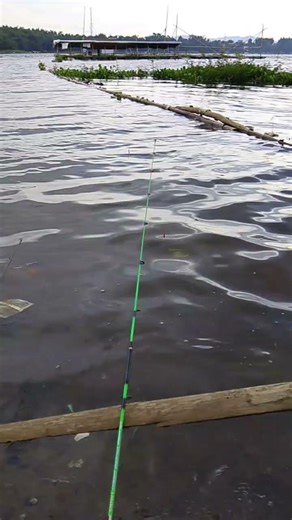 POV Spot Mancing Saguling...pake umpan serbuk cacing merah 30 gram....