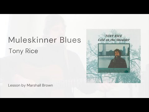 Muleskinner Blues (Tony Rice) - Guitar Lesson