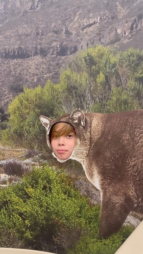 Emme Rylan on Instagram: "Man I love hanging out with them. #summerbreak @discoverycubela"