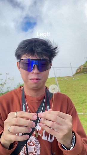 Part 2 #jdtanqueco #dandelions | Dandelions