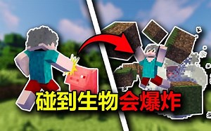我的世界：当碰到生物会爆炸会发生什么？