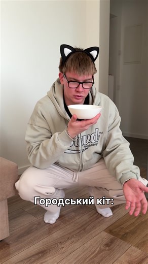 Котики: Пам'ятайте про своїх улюбленців!