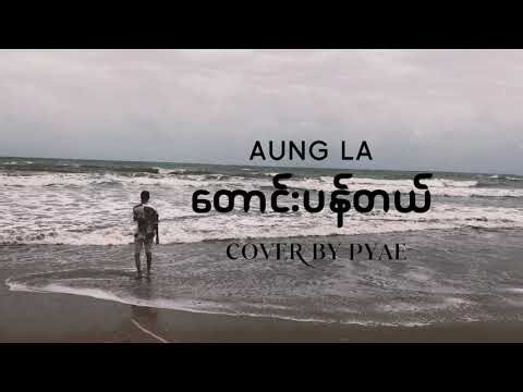 တောင်းပန်တယ် - Aung La (Cover By PYAE)
