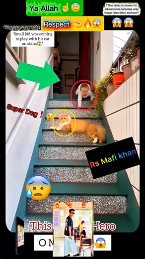 MashAllah☝️😇Respect 😍[167MV] #youtubeshorts #shorts #viralshorts #shortvideo #viral #respect