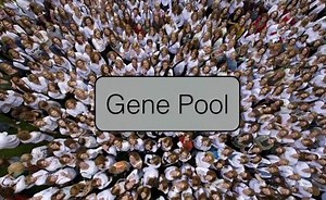 Hardy-Weinberg Punnett Square