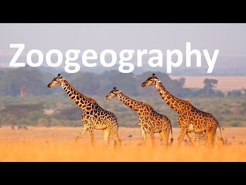 Introduction to Zoogeography: Full College Lecture
