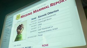 Little bunny with a BIG mission! Check out this never-before-seen clip from Zootopia and discover more bonus features on Blu-ray and iTunes: http://spr.ly/6183BUrDU | Walt Disney Studios