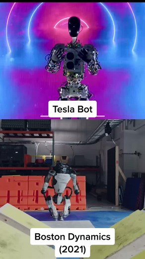 Laughing at Tesla and Scam Musical Discord - Funny Reaction Video