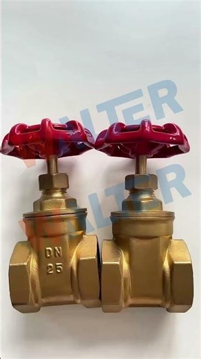 🔥 Walter Threaded Gate Valve: Custom Size + Multi-Material For Tight Spaces!