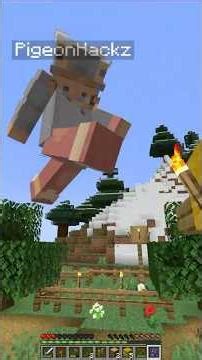 She Didn’t Know I Could Change Gravity… #minecraft