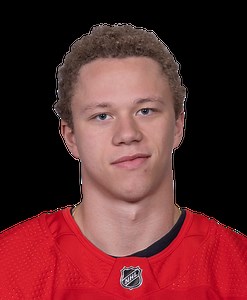 Lucas Raymond - NHL News & Rumors