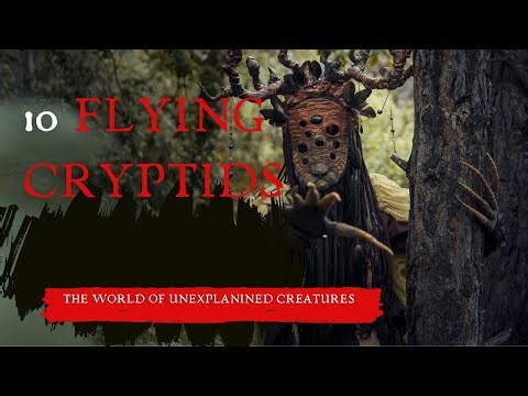 Have You Seen These 10 Mysterious Flying Cryptids?