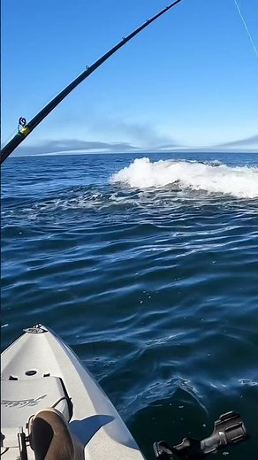 Hobie Outback Kayak Mirage Drive 180 Forward & Reverse #hobiefishing #hobieoutback #oceankayaking
