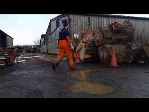 Francisca axe throwing