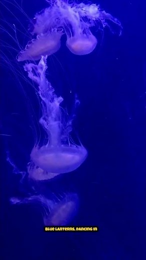 Bioluminescent Sea Creatures Lighting Up The Ocean Floor With Their Glow