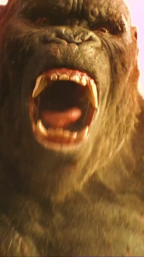 #oficialjasonvoorhees #kingkongvsgodzilla