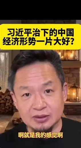 Taiwan Relations and Chinese Government Insights