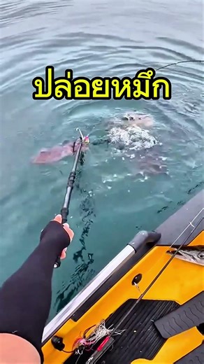 Releasing squid #squid fishing