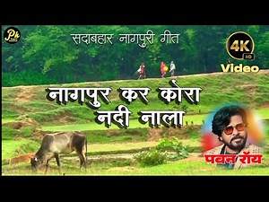 नागपुर कर कोरा नदी नाला टाका तुकू बन रे पतरा | एल्बम - हीरा नागपुर | झारखंडी गीत | गायक - पवन रॉय