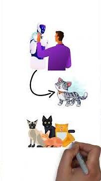 How AI Learns: Training vs. Inference Explained Simply!