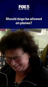 12K views · 56 reactions | A barking dog on an 8-hour flight from Paris to Newark has ignited an internet debate: should dogs be allowed on planes? A Reddit post describing the nonstop barking has gone viral, prompting travelers across the country to weigh in. FOX 5 hit Newark Liberty International Airport to get reactions from real passengers and expert travel insight from The Points Guy’s Clint Henderson. | FOX 5 NY | Facebook