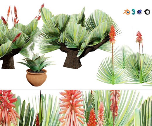 ArtStation - Fan & Coral Aloe Pack | Resources