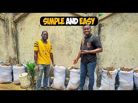 Easily Grow Yam in Sacks with Little Money! (Beginner-Friendly Guide)