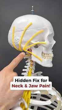 Try This Hidden FIX for Neck & Jaw Pain!