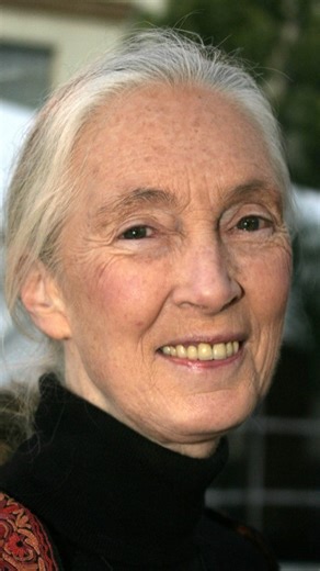 5.9K views · 3.2K reactions | Sarah Forsyth, our curator of Mammals, reflects on the news of Dame Jane Goodall's passing. | Whipsnade Zoo | Facebook