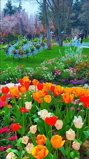 "Spring Vibes Only 🌷 Stunning Flower Garden Scenes!"
