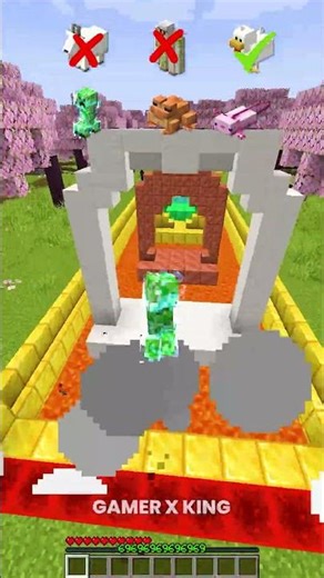 Which MINECRAFT Mob WILL FIT In Circle 🧐.... #minecraft #shorts