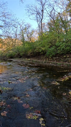 5.8K views · 171 reactions | This is Sandy Creek with a covered bridge at the end. This is in Hillsboro Missouri. This creek is small with a solid rock bottom. The GPS is in the comments. | Show Me Creeks | Facebook