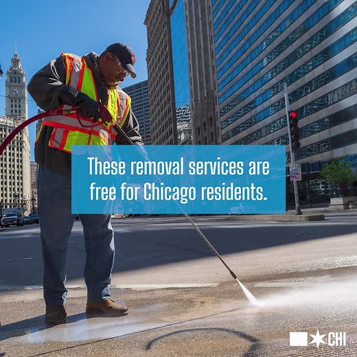 1.3K views · 68 reactions | Help us keep Chicago beautiful by...