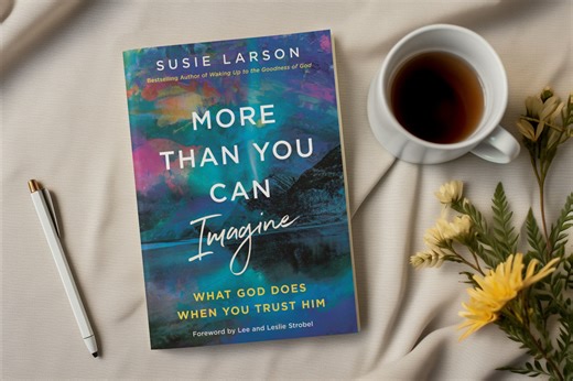 More Than You Can Imagine by Susie Larson