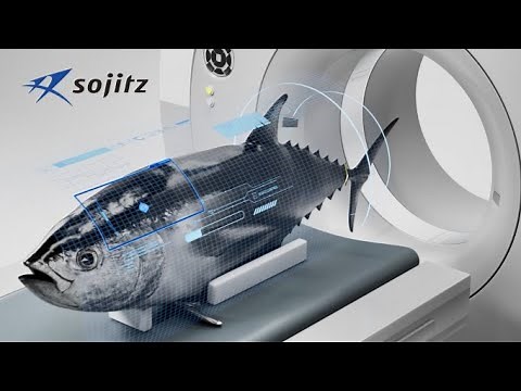 DX の取組み～クロマグロ養殖での活用