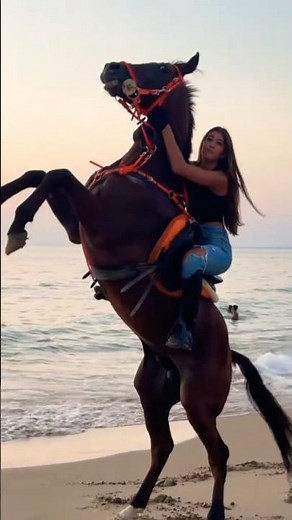 This Horse Jump Takes Real Skill #ViralVideo #HorseRiding