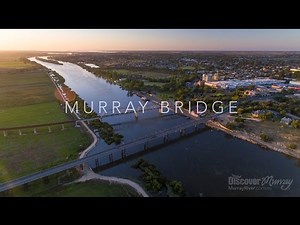 Murray River Bird aerial video - Murray Bridge - Discover Murray River
