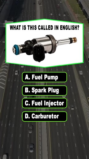 What is this part called?