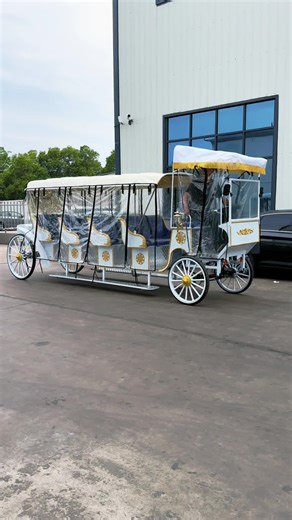 Horseless Carriage Ride Experience