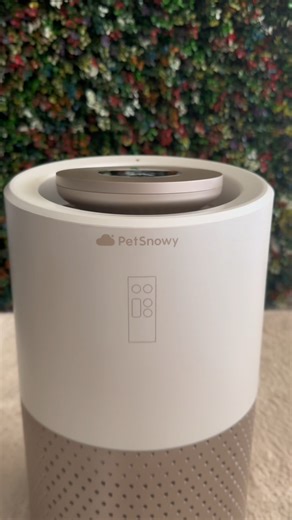 PetSnowy on Instagram: "Paw hair, be gone. 🐾 PetSnowy Air Purifier's TiO₂ Odor Control and ultra-quiet mode keep your home fresh and fur-free — so you and your pets can breathe easy all night. cr.norwegiancatfamily #petsnowy #petsnowyhome #petsnowypurifier #hepaairpurifier #airpurifier"