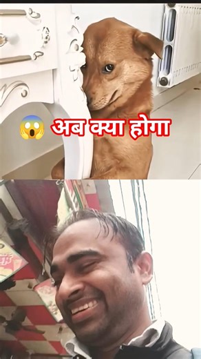अब क्या होगा #youtubeshorts #shortvideo #dogs #dogshorts #reaction #comedyvideos@unlimitedfunnyshort