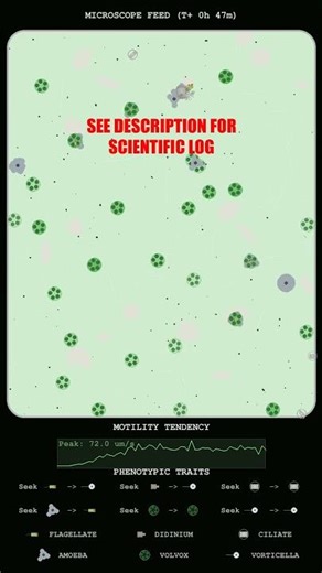 Kinetics of Micro-Organism Swarming and Velocity Cycles