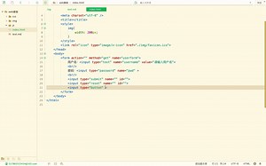 HTML标签：form表单之button