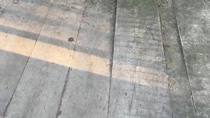 3K views · 104 reactions | Ausblick vom Hahnheider Turm (JPG) | Trittau Online | Facebook