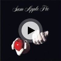 HAWK by Sam Apple Pie